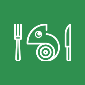 Kamereo logo